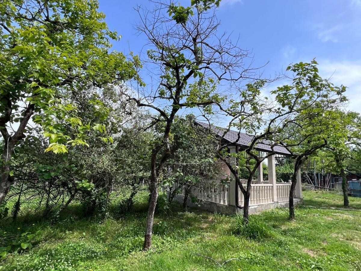 Appartamento Gardenia Tskhaltubo Esterno foto